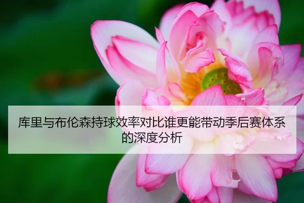 库里与布伦森持球效率对比谁更能带动季后赛体系的深度分析