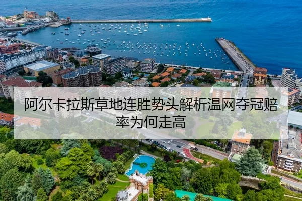 阿尔卡拉斯草地连胜势头解析温网夺冠赔率为何走高