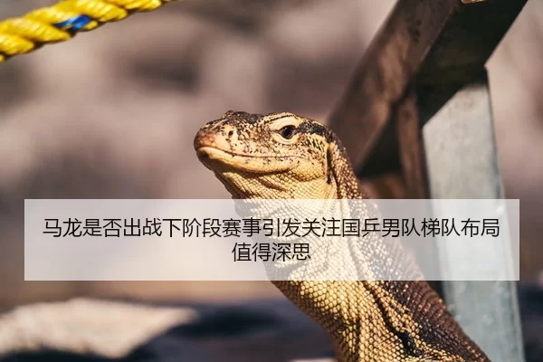马龙是否出战下阶段赛事引发关注国乒男队梯队布局值得深思