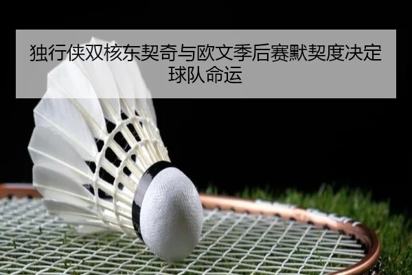 独行侠双核东契奇与欧文季后赛默契度决定球队命运